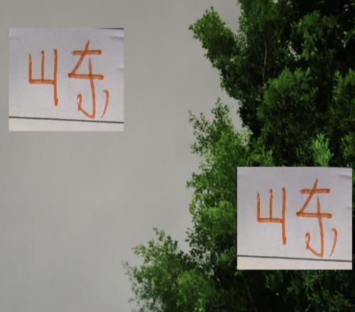 海港还不是活着球队拿冠军最多!山东泰山比他们还多一次!