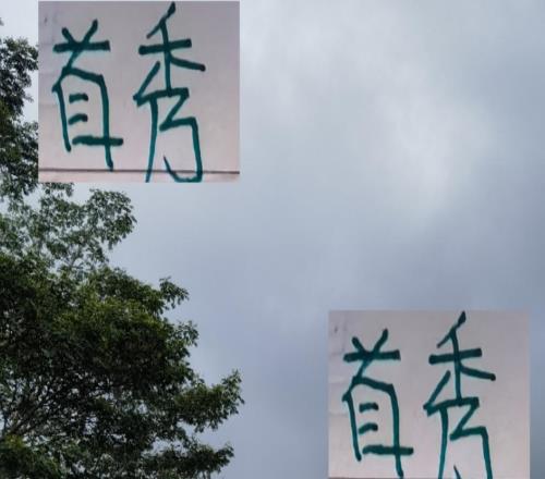 好钢用在刀刃上!北京国安经理儿子首秀4分钟进球武磊夸海港双星