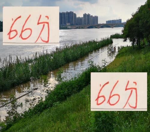 满分是100!海港尽管考了66分但还是三个及格里面第一名