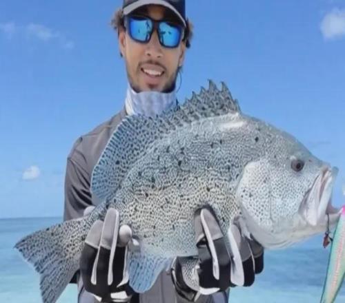 突发！西蒙斯改行了哈哈哈哈