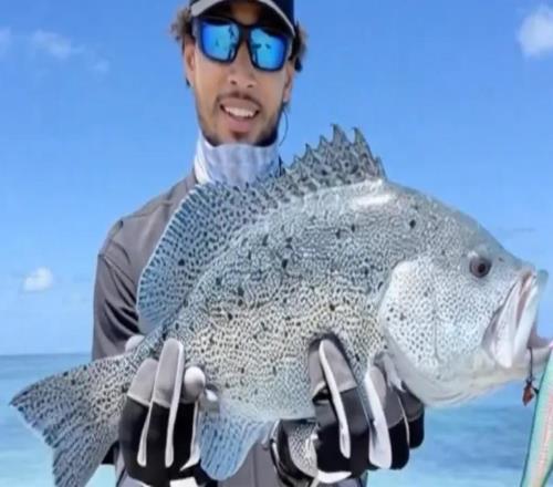 正式加盟!本西蒙斯重回赛场,但不在NBA