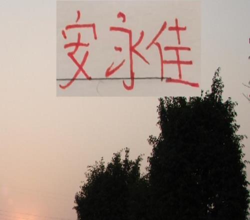 安永佳官宣离队！2024年他可是帮海港狙击申花2分