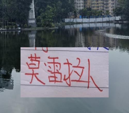 申花海港北京国安都在莫雷拉人进货!