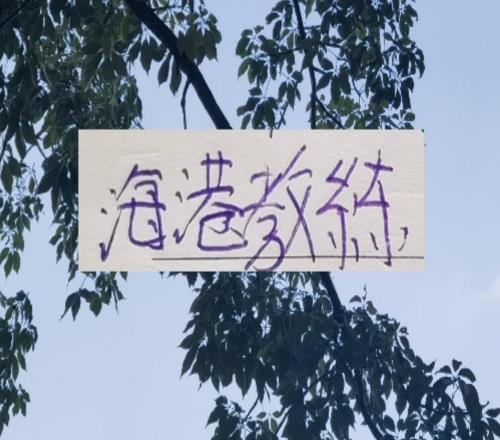 如果说海港掀起澳系教练风潮!那么北京国安是葡萄牙淘货的宗师