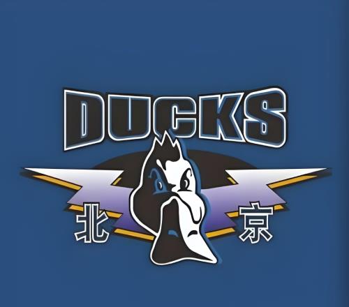 输广厦3分!揪出3大“废柴”坑惨了北京队