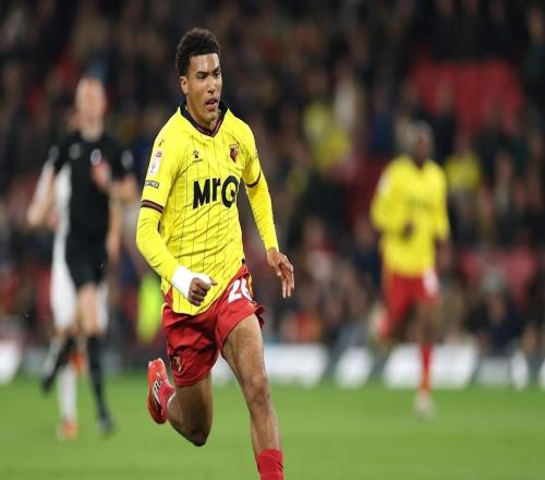 官方:切尔西从沃特福德召回21岁后卫威利