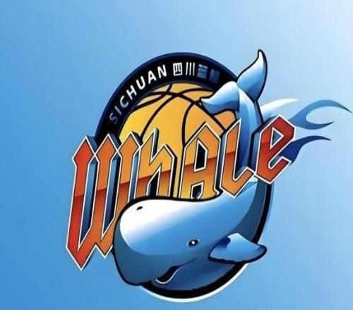 暂时获救!四川男篮质押股权向省篮协借款偿还球员欠薪和本赛季运