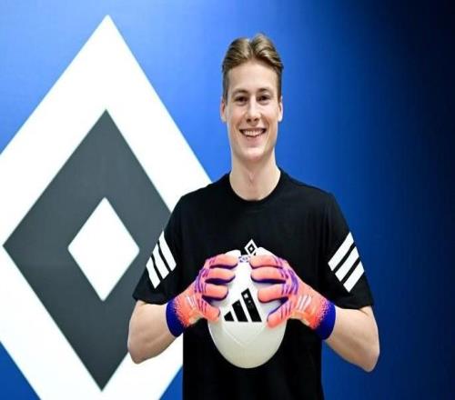 官方:汉堡签下罗森博格门将唐维克据悉转会费总价400万欧