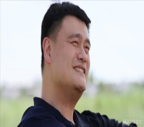 再次被姚明圈粉:从篮球中窥见人世与苍穹