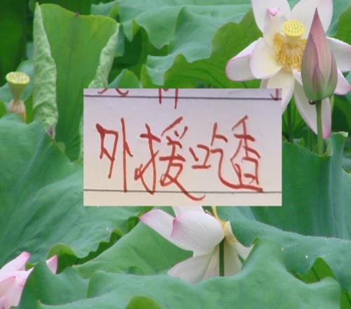 深圳有周定洋大连有马莱莱+斯坦丘谁能冲击前5