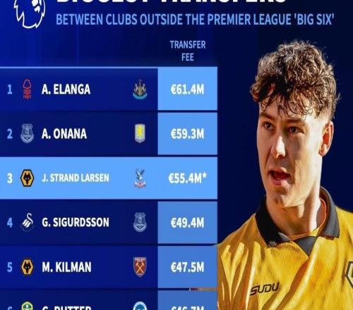 德转统计英超除BIG6外历史最贵交易:纽卡6140万欧签埃兰加第1