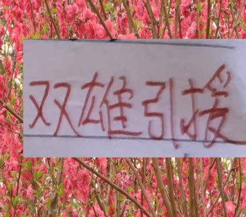 中超带刀边后卫都集中在海港成都申花三球队里面