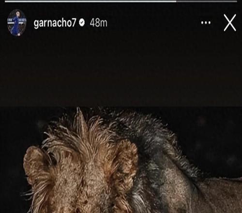 加纳乔再惹争议：赛前晒“嗜血雄狮”遭群嘲，切尔西或将其清洗