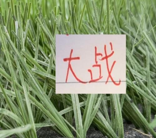 超级杯大战！斯卢茨基也是刺探军情！北京国安气势申花能守住吗