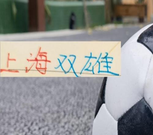 今年上海双雄都是大手笔申花标王拿下拉唐海港重金砸下大鱼