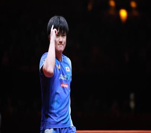 张本智和WTT总决赛夺冠,国乒首次无缘男单决赛