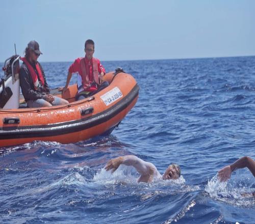 东莞游泳名将陈苏伟获央视体坛荣耀之夜“极限瞬间”人物称号