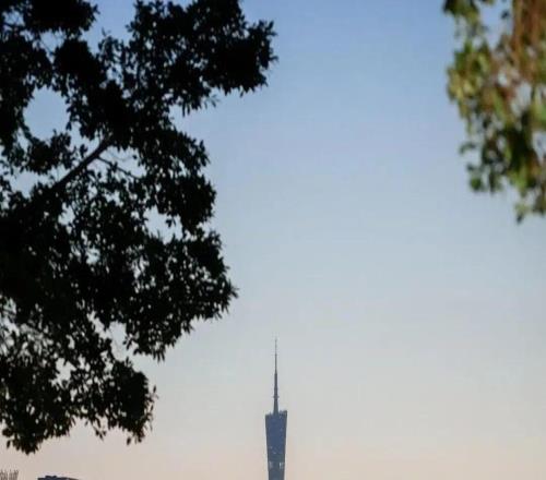 百岁山深度携手2025广州马拉松赛:让奔跑闪耀湾区,让坚持值得珍视