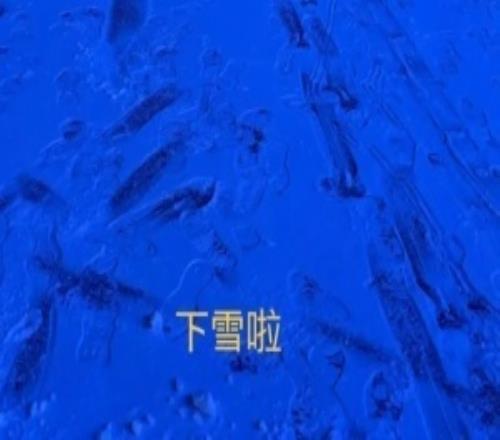 JDG中单选手HongQ更新ins动态:下雪啦