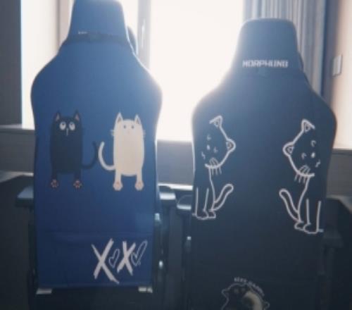 余霜分享新買的電競椅：定制款變體精靈YYDS！以后可以雙排上分了