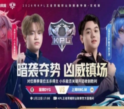 RNG状态低迷小乐奇招猪八戒碾下RNG斩获胜利DYG31RNG