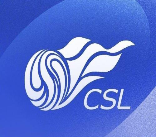 中超历年亚军:申花第五次屈居亚军,超越国安、泰山排名第一