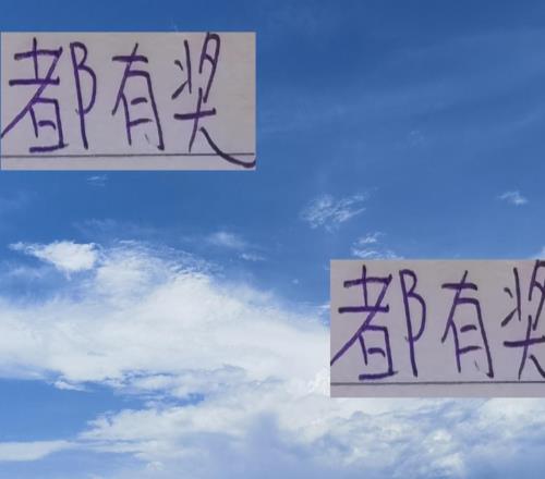 大智慧!中超前11名几乎都有奖最有份量还是海港冠军山东有MVP