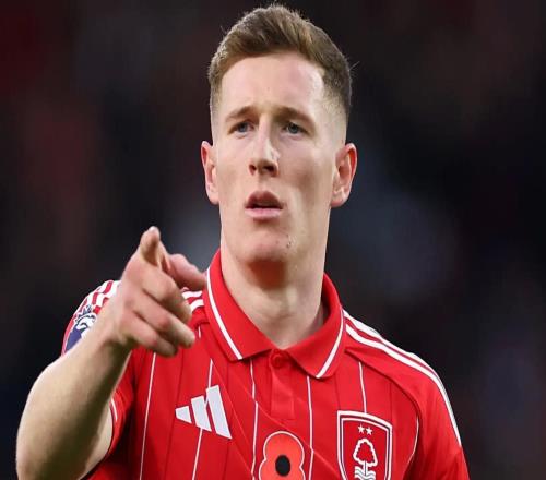 森林旧将:安德森绝对值1亿镑,他去哪支球队都会有出色表现