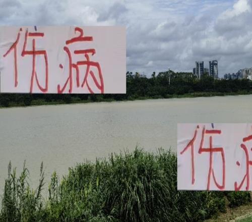 從年初傷到年末申花跟海港傷病不斷但依然拿到老二跟中超冠軍