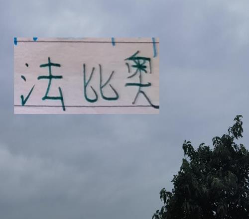 靠外援奪冠球隊有海港LEO還有北京國安發飆