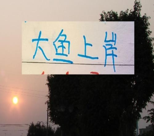 有大鱼才有夺冠的希望!海港申花成都浙江都有大鱼上岸了