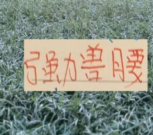 中超前4的后腰反而申花是國產(chǎn)的獸腰其他球隊都是洋貨