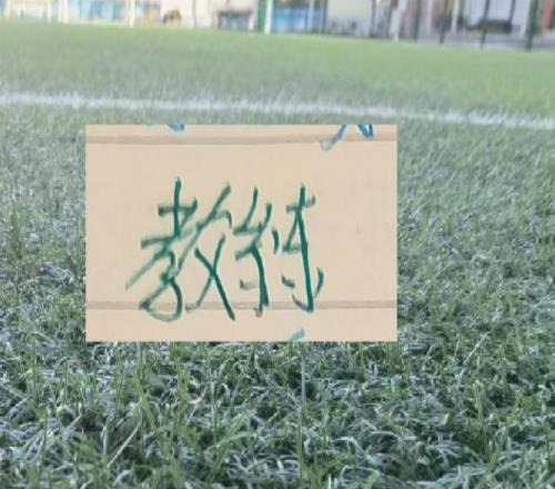 2025賽季北京國安的塞蒂恩+拉米羅算是成功的嗎