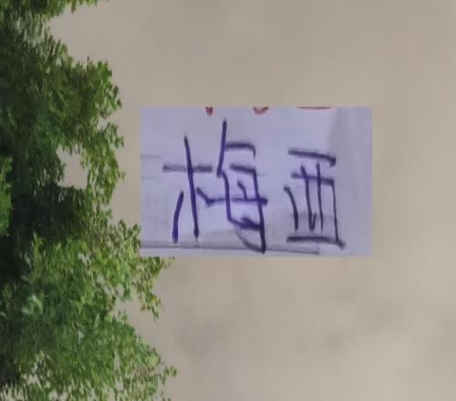 申花2026第一場熱身被逼平！梅西妻子曬泳裝真不把粉絲當外人