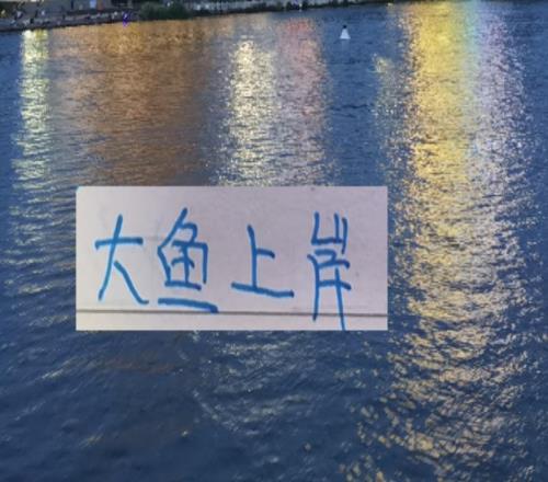 后面中超大魚!北京國安可能有德甲中后衛大連英博有意甲中場