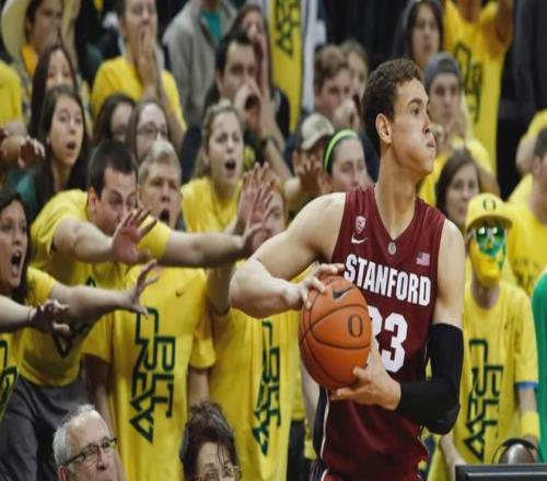 带着母亲遗愿战斗12年,交易添头成了队魂