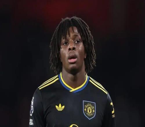 邮报:曼联可能冬窗压哨引援夏窗的头号目标则是安德森