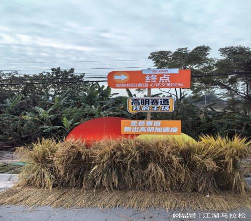 专程来跑稻田马拉松,有点小遗憾