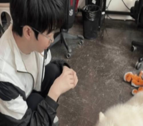 AL晒Hope和Tarzan投喂队宠巴莉:园内猛兽区新开的喂食项目