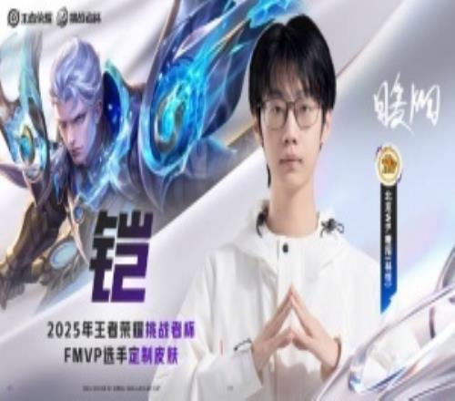 北京WB暖陽選擇【鎧】作為FMVP定制皮膚的所屬英雄！