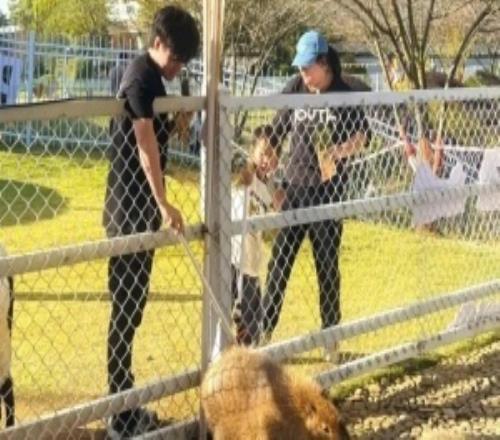 Beichuan分享旅游照:冒死投喂一下封王极限