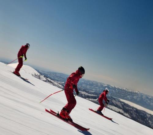 透过冬奥，看懂品牌的“伏久者飞必高”