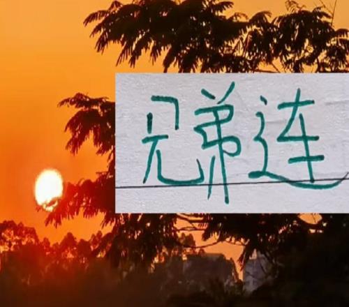 中超真的有兄弟连!哥哥执教浙江弟弟掌管成都蓉城