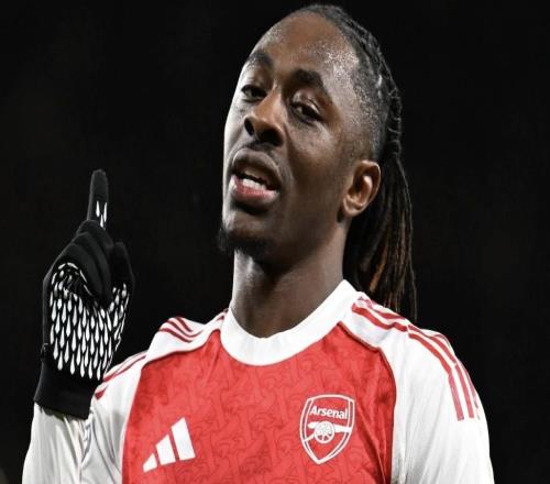 电讯报谈埃泽处境:厄德高更具创造力,左路竞争不过特罗萨德