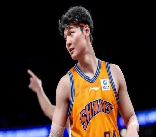 卢伟看明白了吗三内线每场都能统治局势,主打内线就对了!