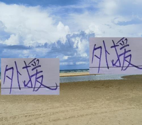 没想到！本赛季外援进球最多的球队不是海港而是山东泰山