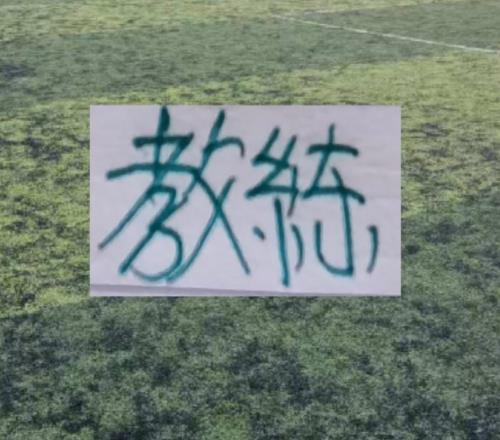 如目标是夺冠！北京国安是找补锅匠还是找大修大建教练呢