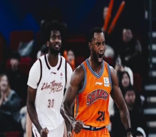 大鲨鱼迎来福音