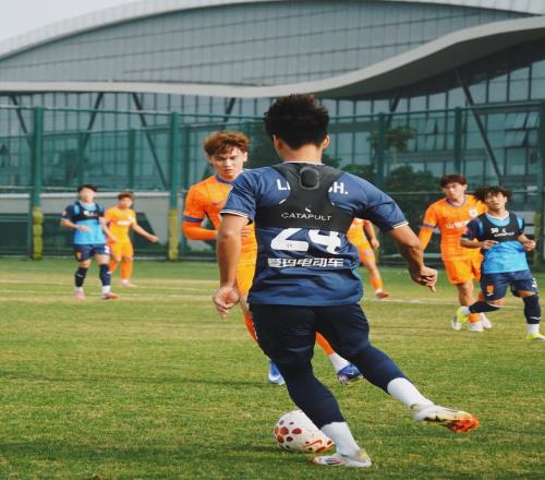 高级货!鲁能小妖来重庆海港铁卫加盟蓉城牛洪利薅完小牛薅韩东