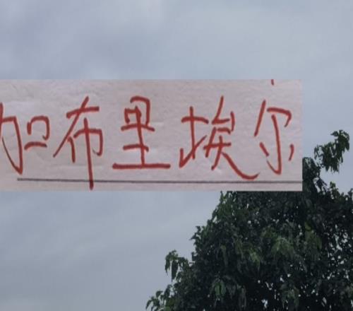 新赛季!海港申花北京国安的边锋都是又黑又快的外援